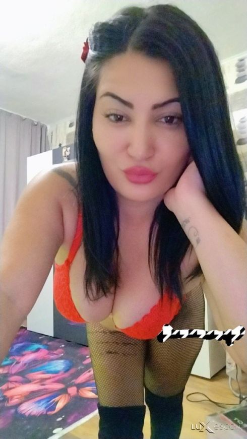 Палаво миньонче -  снимка 2