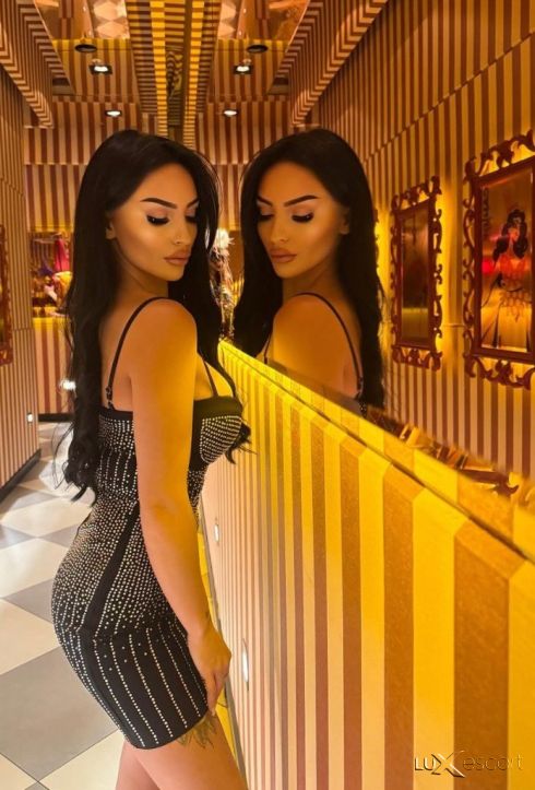 Palavnica -  снимка 2