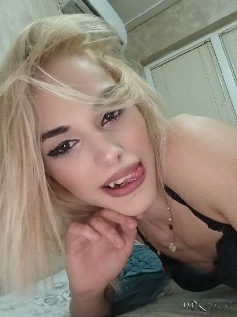 Само на АДРЕСИ🩷НОВА ТРАНС🩷 -  снимка 2