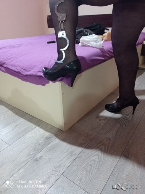 Руска Мацка в Плевен 🇷🇺🇧🇬♥️ -  снимка 7