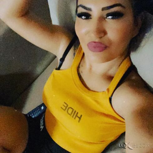 Nova sum -  снимка 0