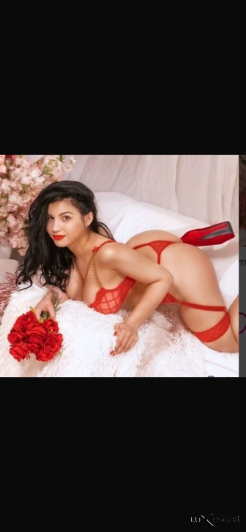 галка -  снимка 1