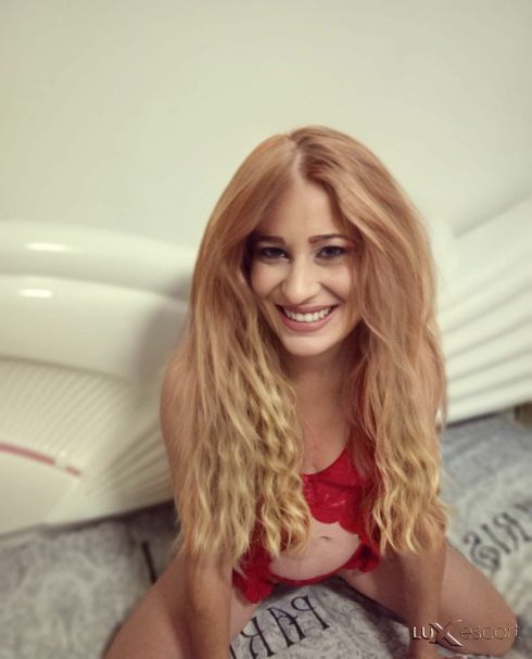 🥰24/7Partyy Nol Stop🥰 -  снимка 0