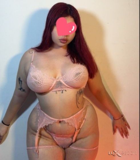 Ново коте само за 2 дни при вас 150лв за час -  снимка 1