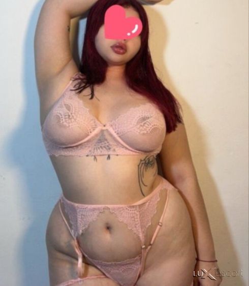 Ново коте само за 2 дни при вас 150лв за час -  снимка 4