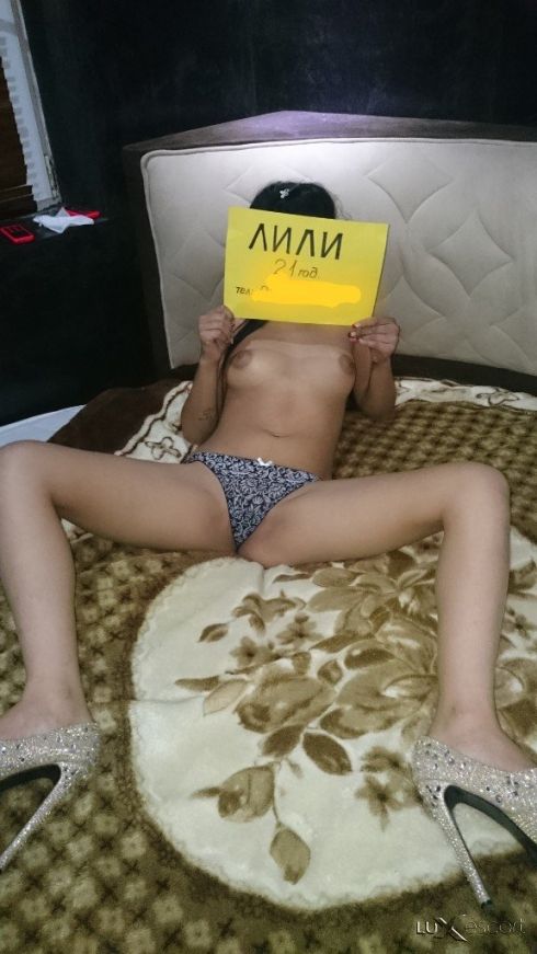 Лили нова -  снимка 2