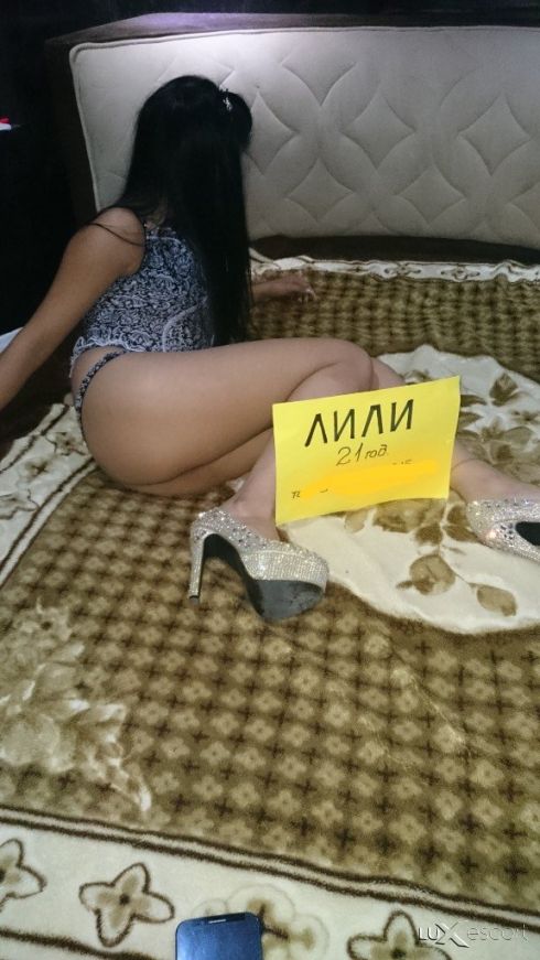 Лили нова -  снимка 3