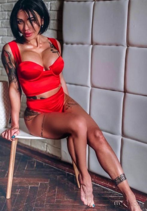 Nova v grada -  снимка 3