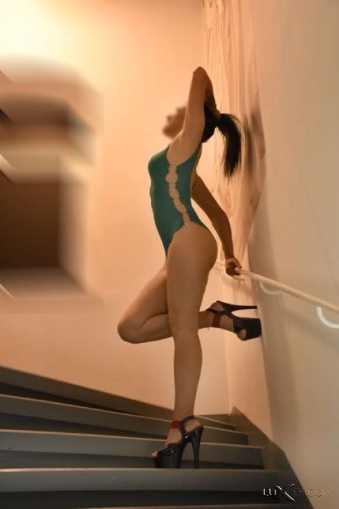 Нова -  снимка 3