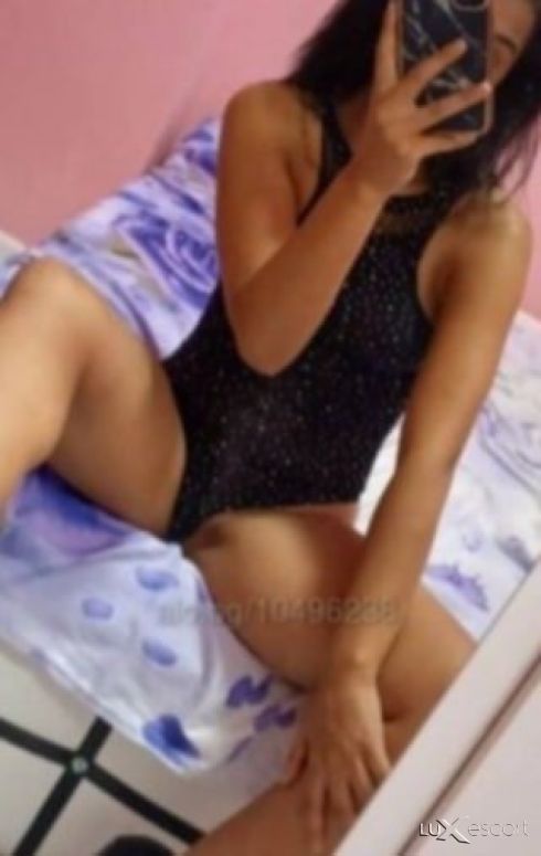 Здравей нова палавата игрива нова -  снимка 0