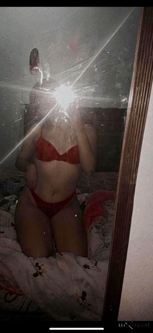 NEW TOP -  снимка 1