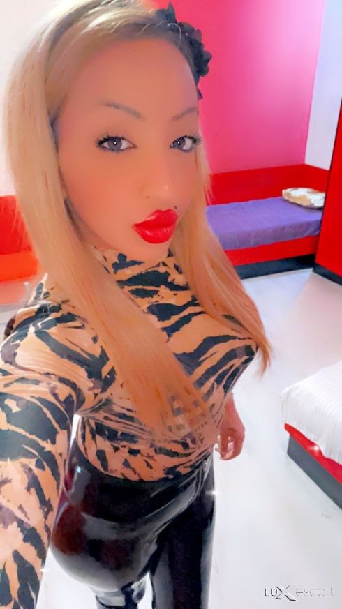 🩷Порно звезда🩷 -  снимка 13