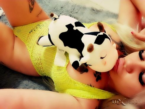 Ако видите обява с мой снимки но различен номер фалшива е -  снимка 11