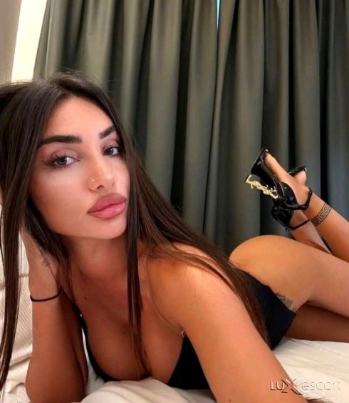 VIP Escort ⚜️❤️ -  снимка 0