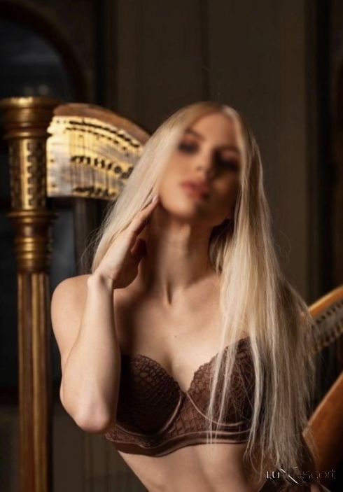 TOP💸NEW💰TRANS -  снимка 0