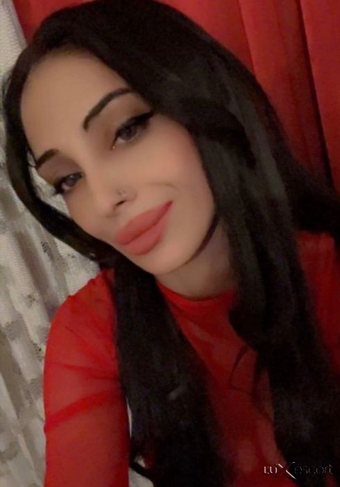 Samo na vash teren -  снимка 5