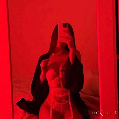 New TOP -  снимка 0