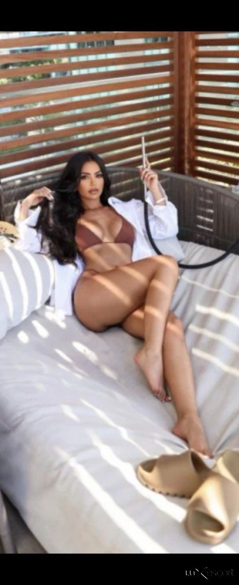New Escort -  снимка 0